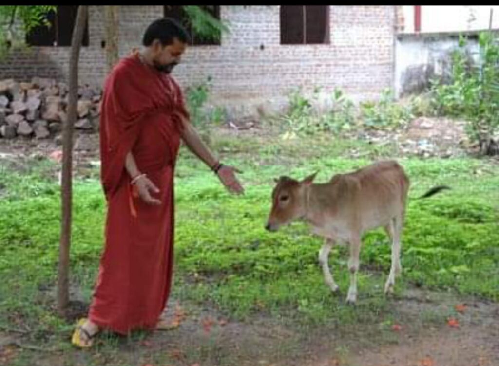 ललितपुर चंडी मंदिर गौशाला में गोदान कर धर्म लाभ ले अपने जीवन को सार्थक बनाएं